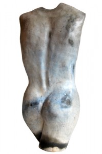 torso blauw (1) BW